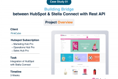 HubSpot & Stella Connect with Rest API
